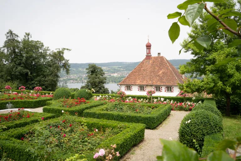 Deine Traumhochzeit - Fallback Bild
